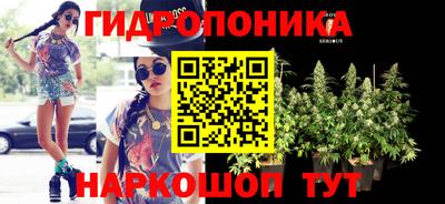 твердый Кимры