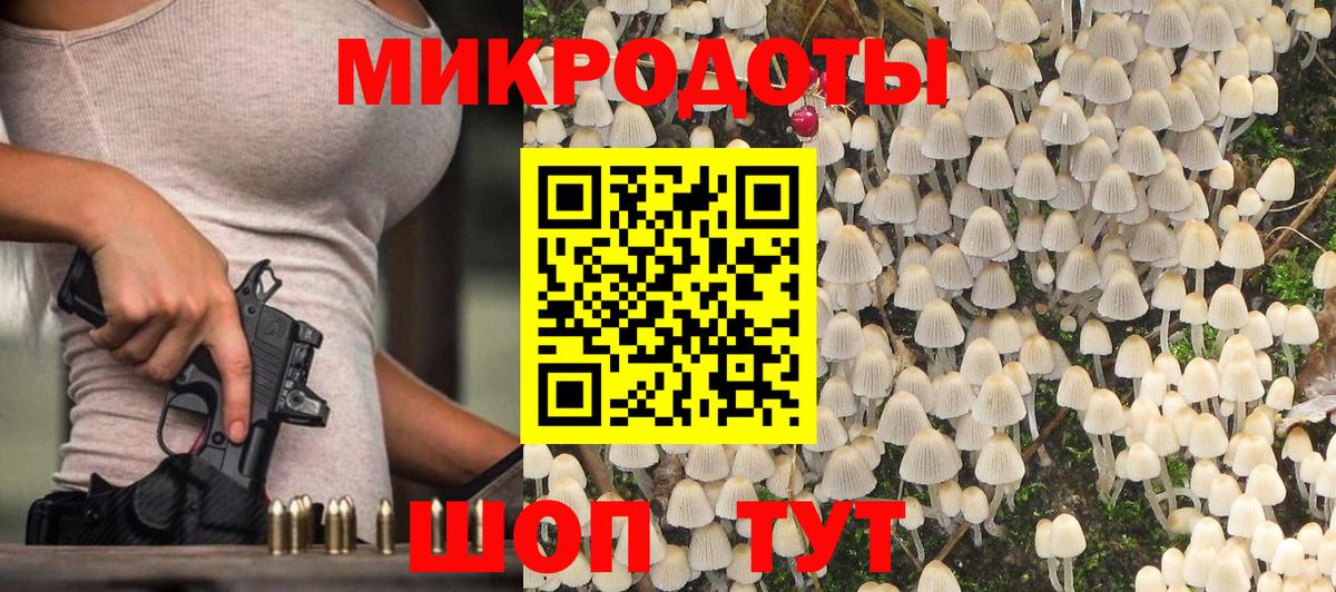 Псилоцибиновые грибы GOLDEN TEACHER  Вход с VPN  Кингисепп 